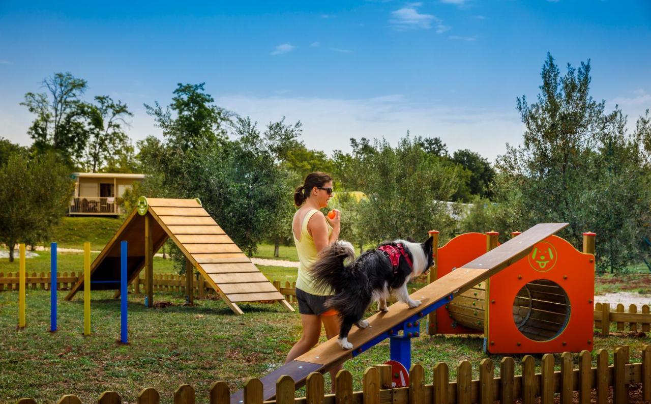 Sunflower Camping Mareda Экстерьер фото